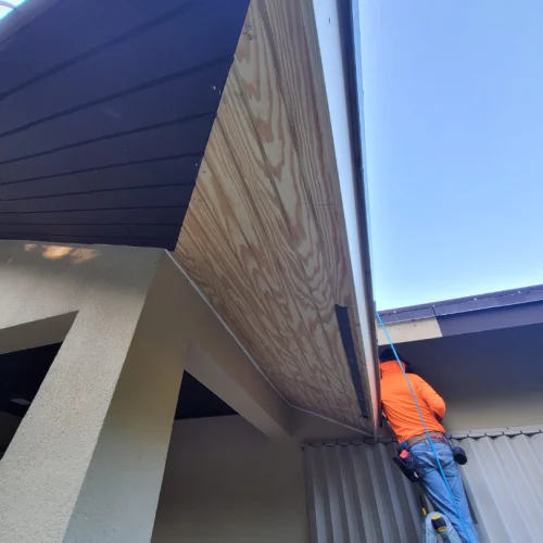 205c6856-4cf5-4ce5-8f59-c7d623fff450