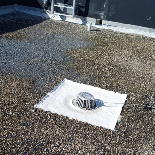 2203f0f4-5810-42a4-8b01-1f4ac65476cb