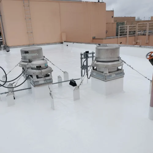 29d3e23a-f5c7-4255-a870-11f689ea1eec