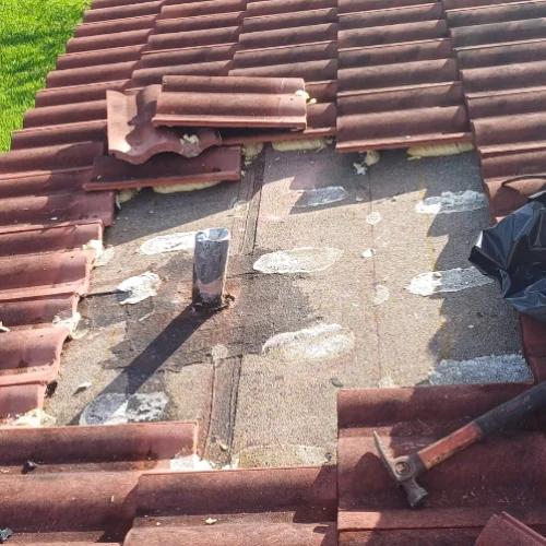 49d4775f-ec1b-4acd-b8e9-4441f1de5e97