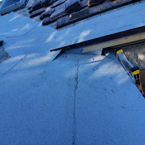 5db03e1e-7dc3-4973-9ab0-cf335436fc74