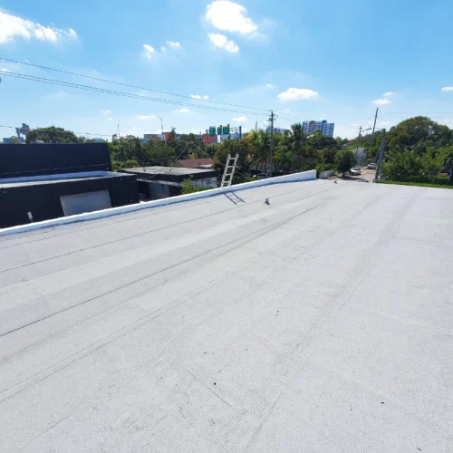 6248a217-c1f7-4920-ad0f-4a9a5df7e3c8