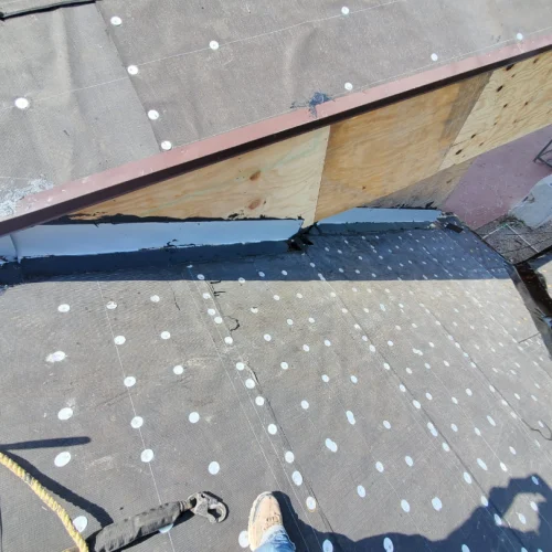 b1b3e592-06d4-40c4-831b-e132cbc40231